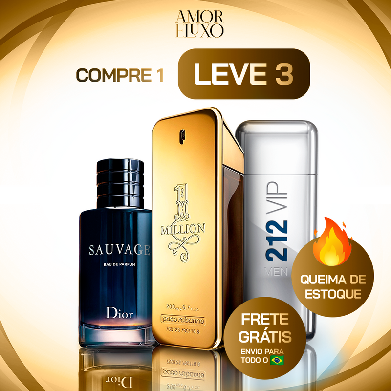 Kit 3 Perfumes Masculinos Importados (100ml) - 1 million | 212 vip | Sauvage dior - [QUEIMA DE ESTOQUE NATAL]